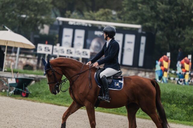 🔥New combination! 🔥
Kingsman Lilly e il suo nuovo cavaliere debuttano in gara, conquistando un 🥇 primo e un 🏅 quinto posto!
Un ottimo inizio per questa nuova partnership✨