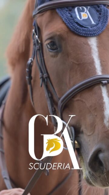 ✨GBK Scuderia✨ A*** Borgo la Caccia
🔥Next stop —> Equieffe before leaving to MET III Oliva Nova, Spain🇪🇸🇪🇸🇪🇸
@gemmamorandi_equinephotography @tech.stirrups @borgheseale @fedemrcz @carlottabaciallihr @fantamrcz @glupinetti @mascheroniselleria @kepitalia @cortalhorse @oughterardsporthorses